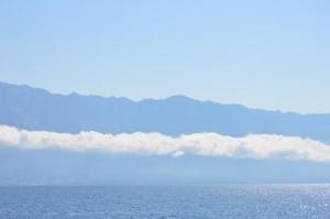 morning cloud east end brac