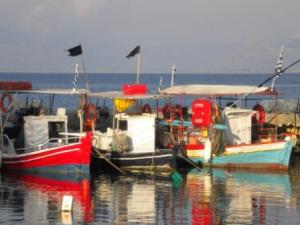 Fishing boats in Petriti