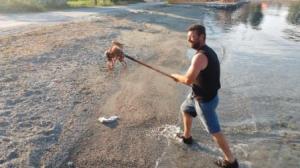 Demise of the octopus, much too young