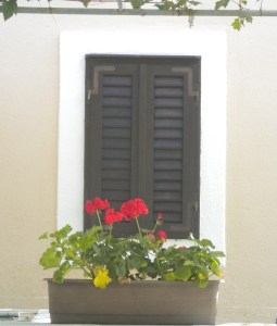 window on molat