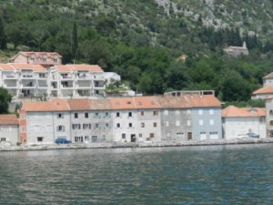 Typical shoreline in the Gulf