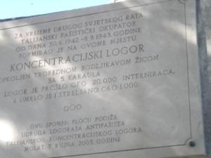 Plaque on molat