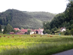 Vosges