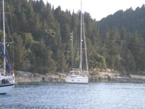 Long lined in Mongonissi