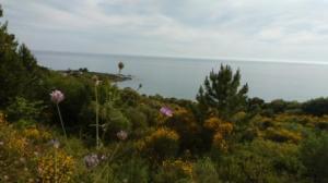 North of Preveza looking south