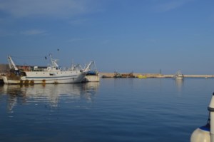 Mola di Bari harbour